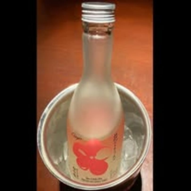 A chilled bottle of Mikado Ryotei sake with a red floral label in an ice bucket.